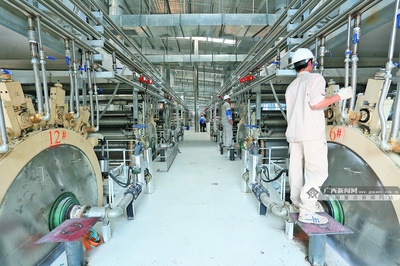 廣西農(nóng)業(yè)爭相扎根東盟“沃土” 木薯變性淀粉產(chǎn)業(yè)迎發(fā)展新機(jī)