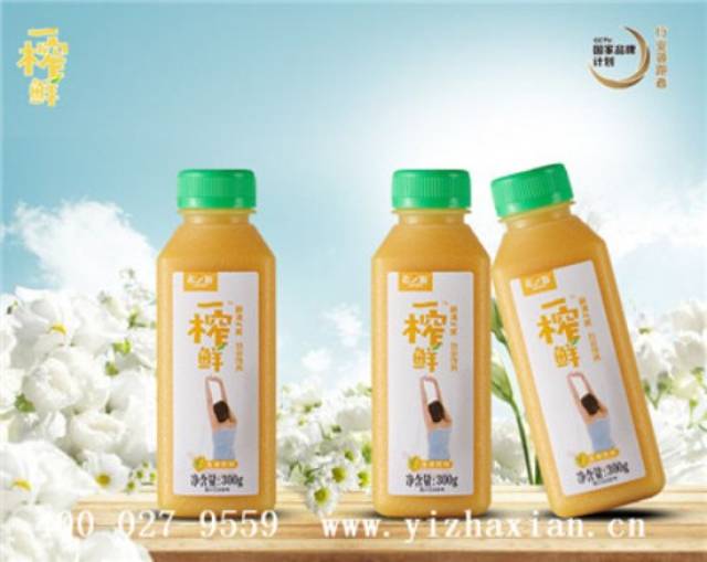 綠色健康消費(fèi)理念推動(dòng)谷物飲料成為時(shí)尚新寵