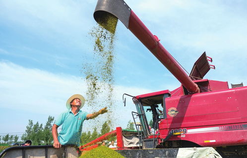 構(gòu)筑生態(tài)宜居家園，推動(dòng)谷物銷售新篇章